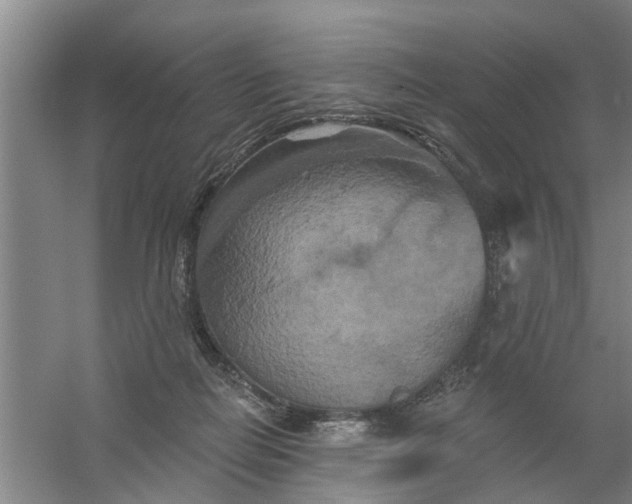 X0000059840266200511041821