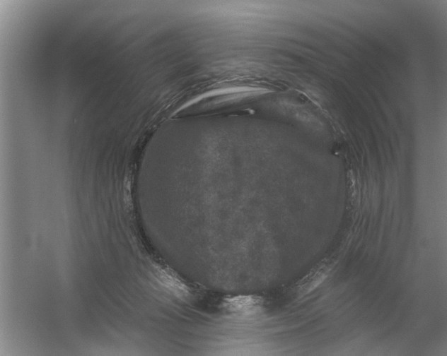 X0000059840269200511041821