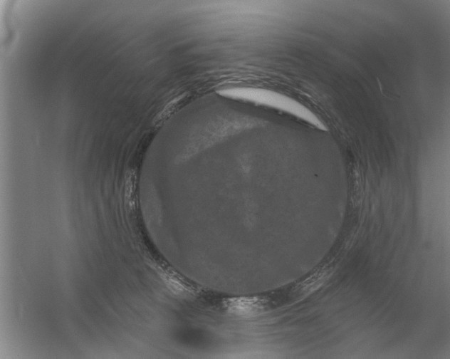 X0000059840273200511041821