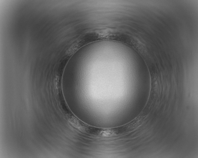 X0000059840275200511041821