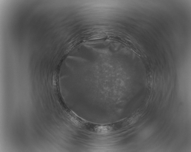 X0000059840277200511041821