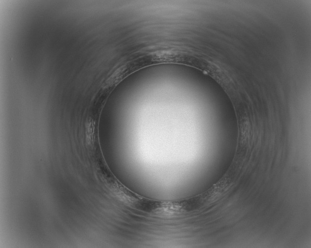 X0000059840278200511041821