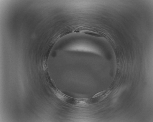 X0000059840285200511041821