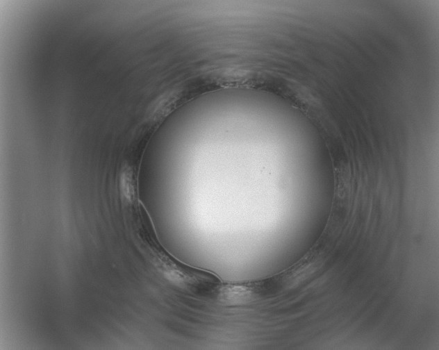 X0000059840287200511041821