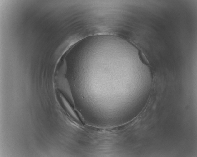 X0000059840290200511041820