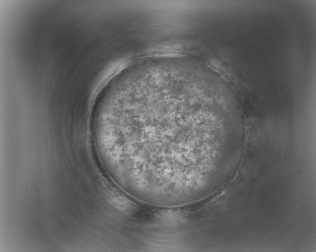 X0000059840293200511041820