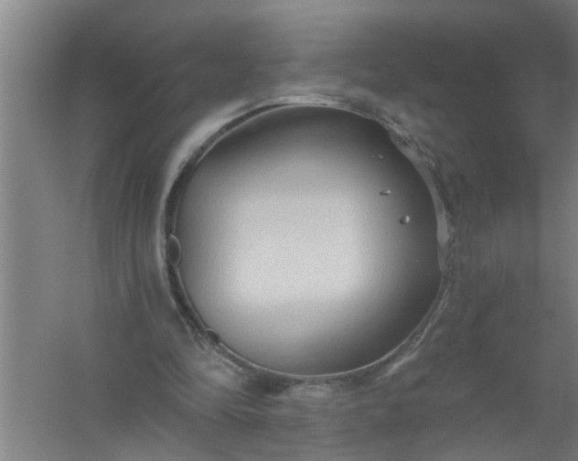 X0000059840294200511041820