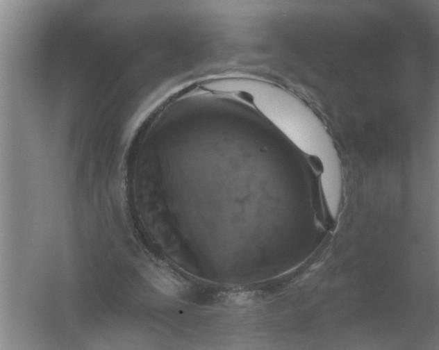 X0000059840295200511041820