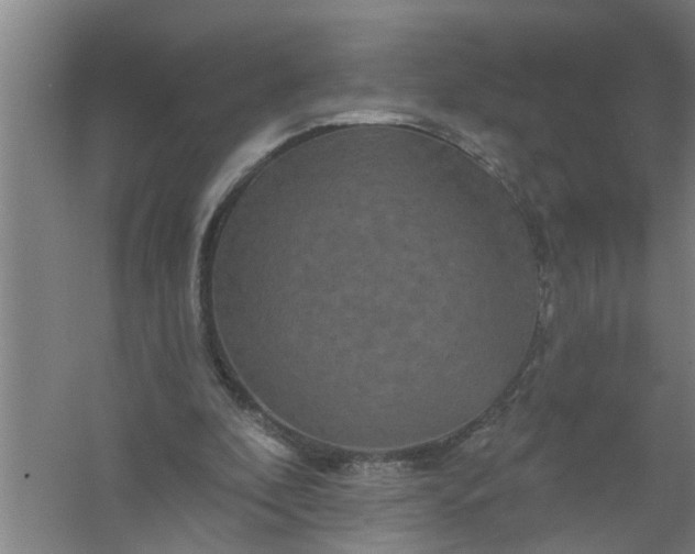 X0000059840296200511041820