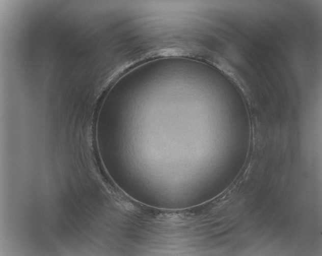 X0000059840297200511041820