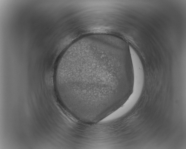 X0000059840299200511041820