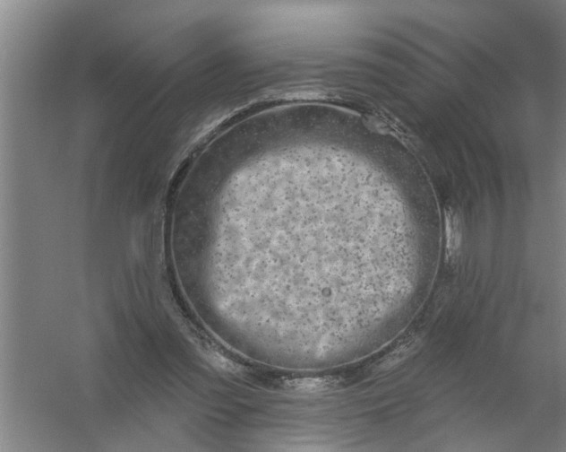 X0000059840301200511041820