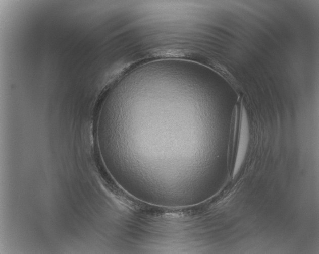 X0000059840302200511041820