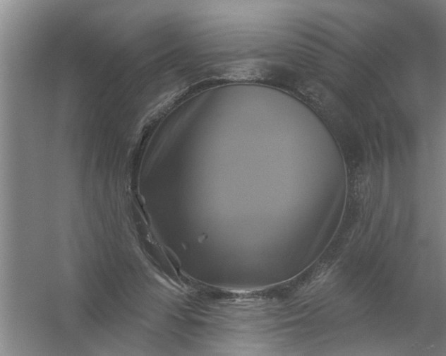 X0000059840303200511041820