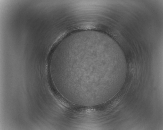 X0000059840304200511041820