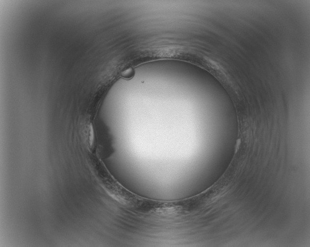 X0000059840307200511041820