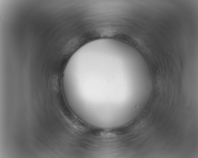 X0000059840311200511041820