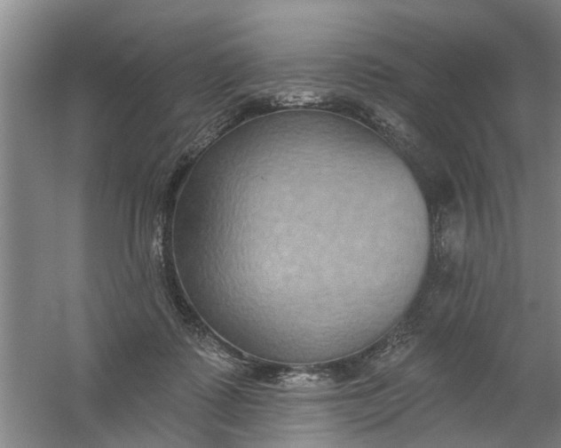 X0000059840315200511041820