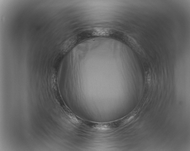 X0000059840322200511041820