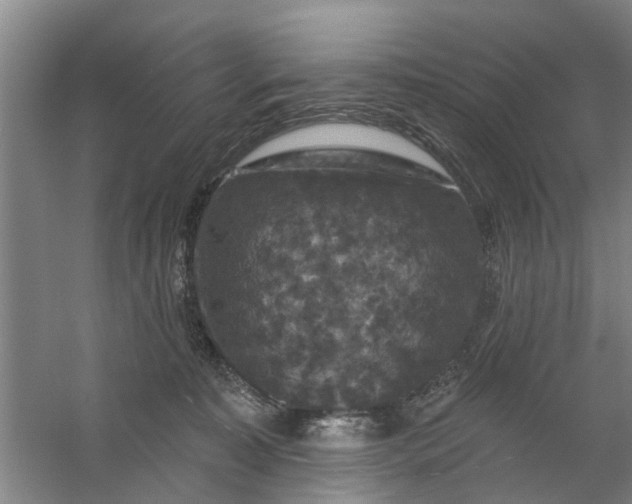 X0000059840323200511041820