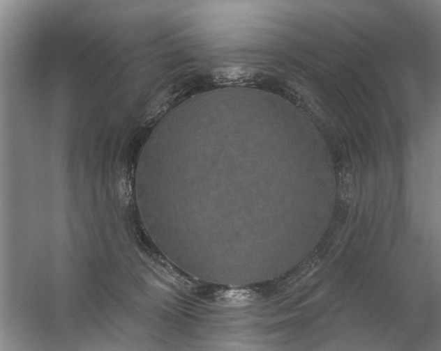 X0000059840324200511041820