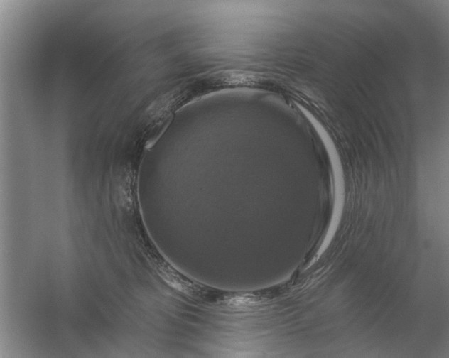 X0000059840325200511041820