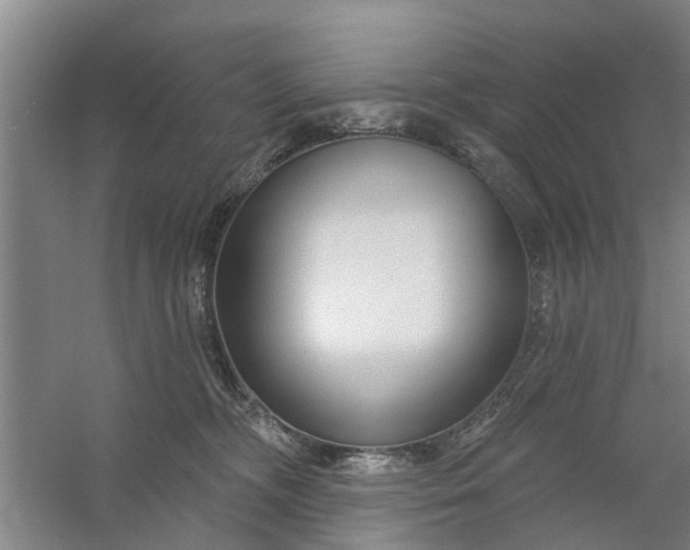 X0000059840326200511041820