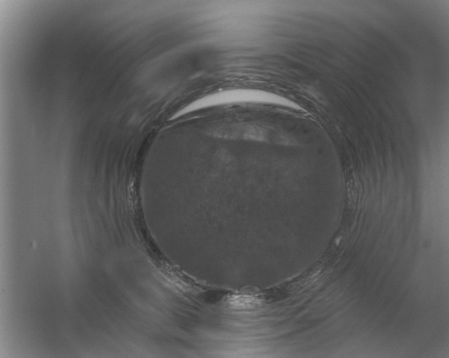 X0000059840327200511041820