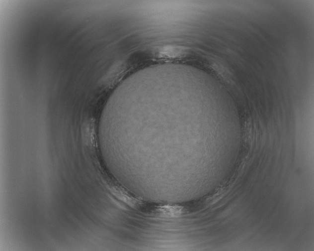 X0000059840328200511041820