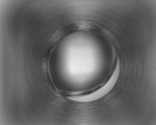 X0000059840329200511041820