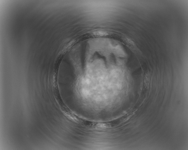 X0000059840330200511041820