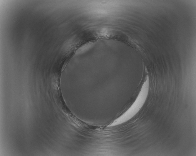 X0000059840331200511041820