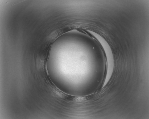 X0000059840333200511041820