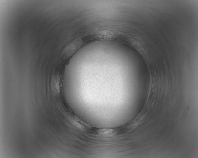 X0000059840334200511041820