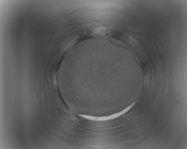 X0000059840335200511041820