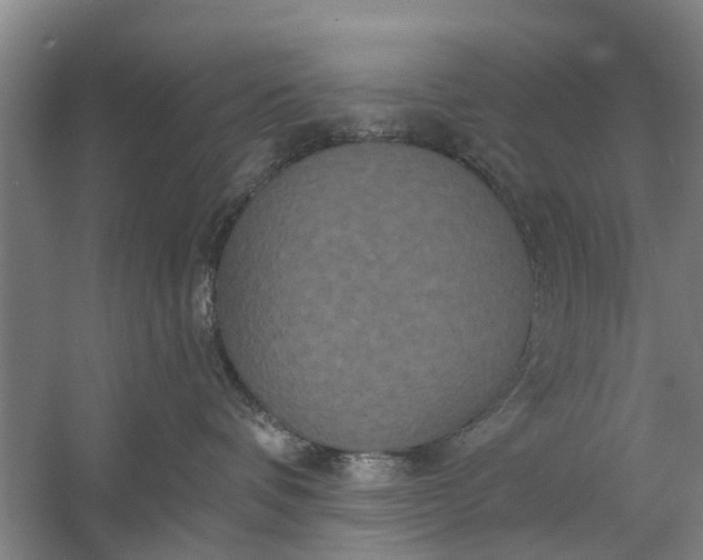 X0000059840336200511041820