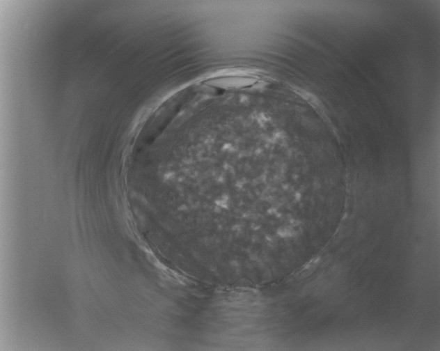 X0000059840337200511041819