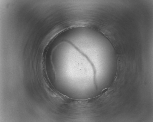 X0000059840338200511041819