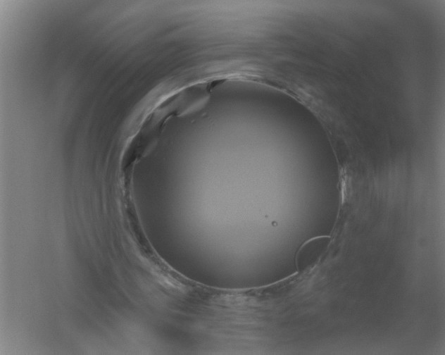 X0000059840339200511041819