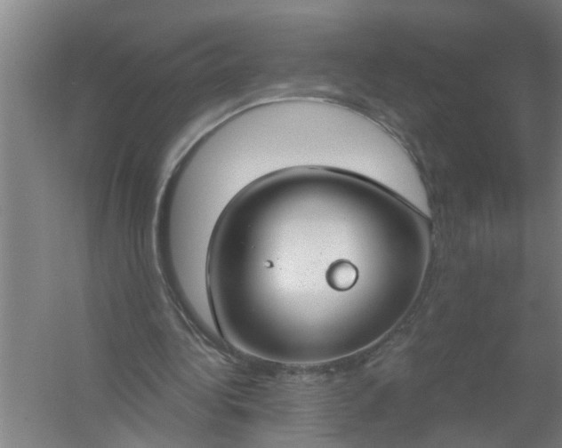 X0000059840340200511041819