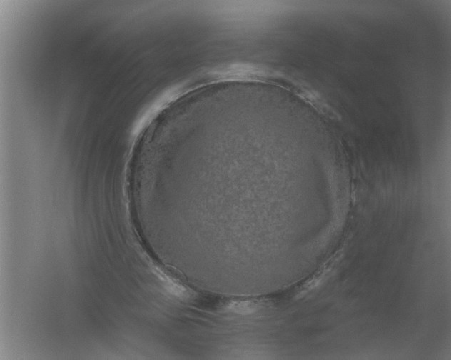 X0000059840341200511041819