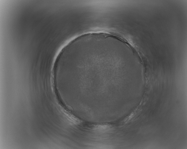 X0000059840342200511041819