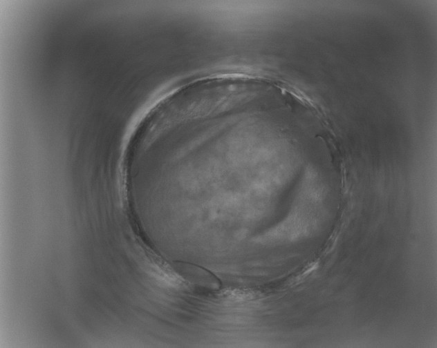 X0000059840343200511041819