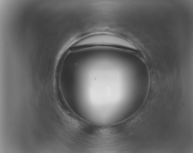 X0000059840344200511041819