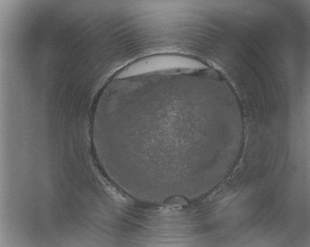 X0000059840345200511041819