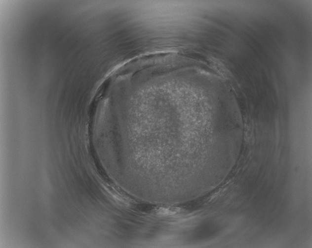 X0000059840346200511041819