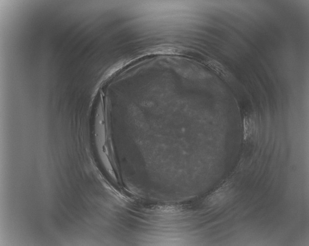 X0000059840349200511041819