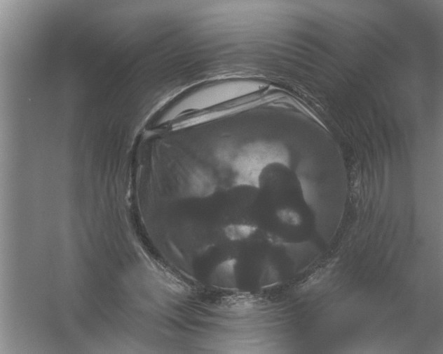 X0000059840351200511041819