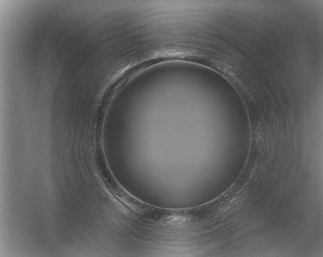 X0000059840352200511041819