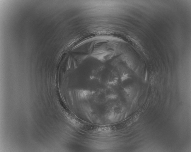 X0000059840353200511041819